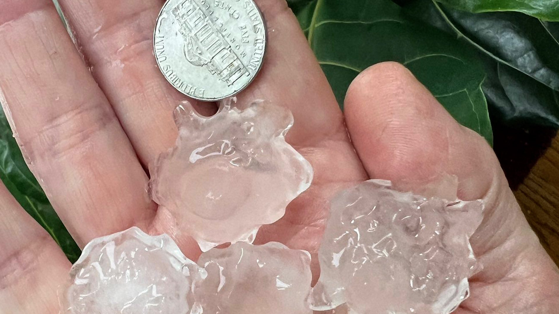 Southeast Lashed By Severe Weather
