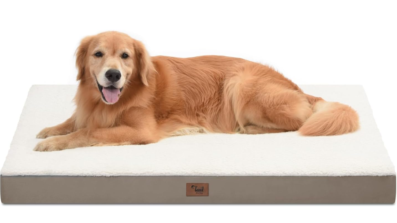 Tail Stories Orthopedic Dog Bed With Removable Washable Oxford Cooling Cover