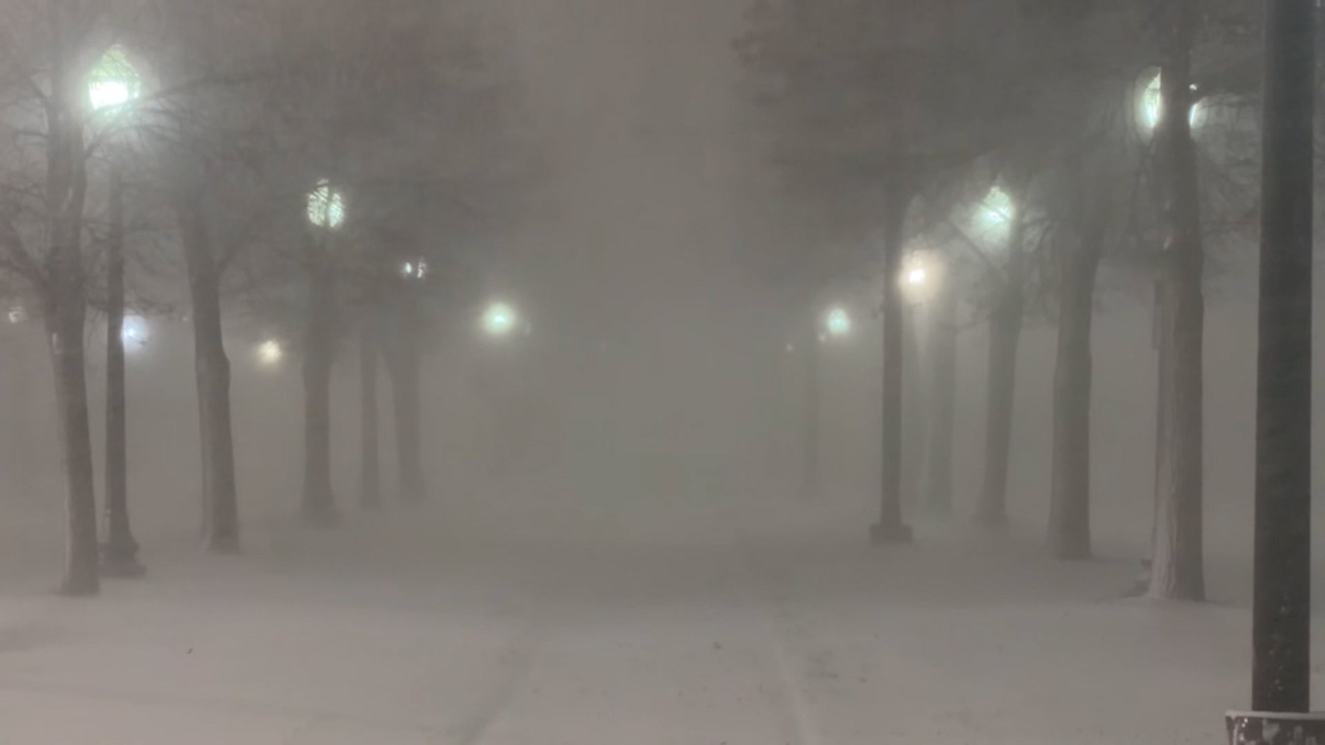 What Caused The Chicago Lake-Effect Thundersnow?