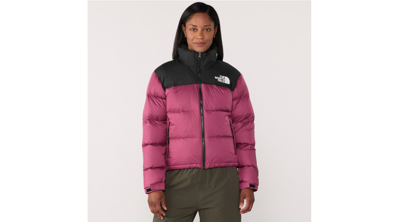 The North Face 1996 Retro Down Jacket