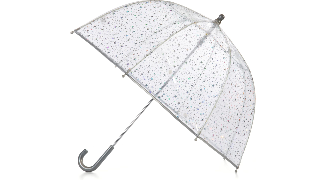 Totes Clear Bubble Umbrella With Dome Canopy