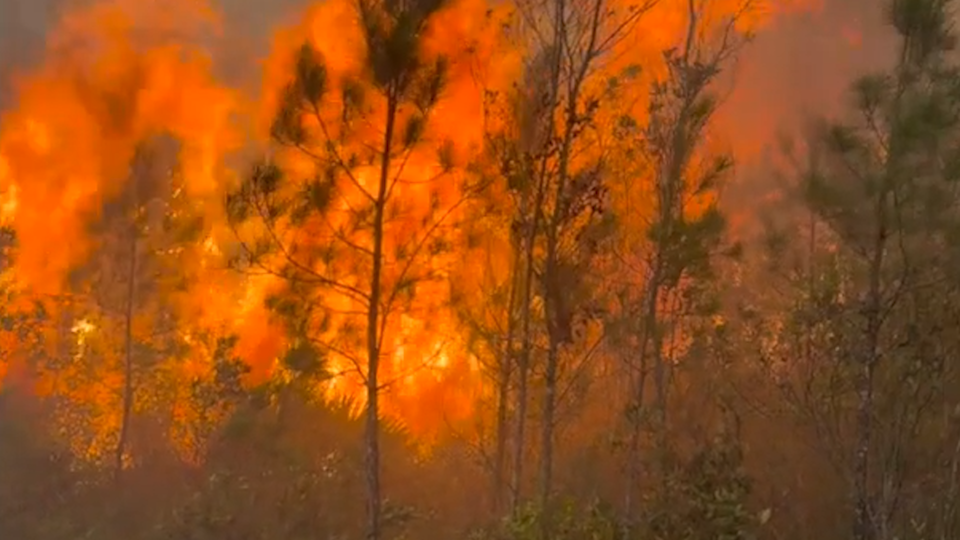 Over A Week Later, Georgia&rsquo;s Pineland Road Fire Still Burns