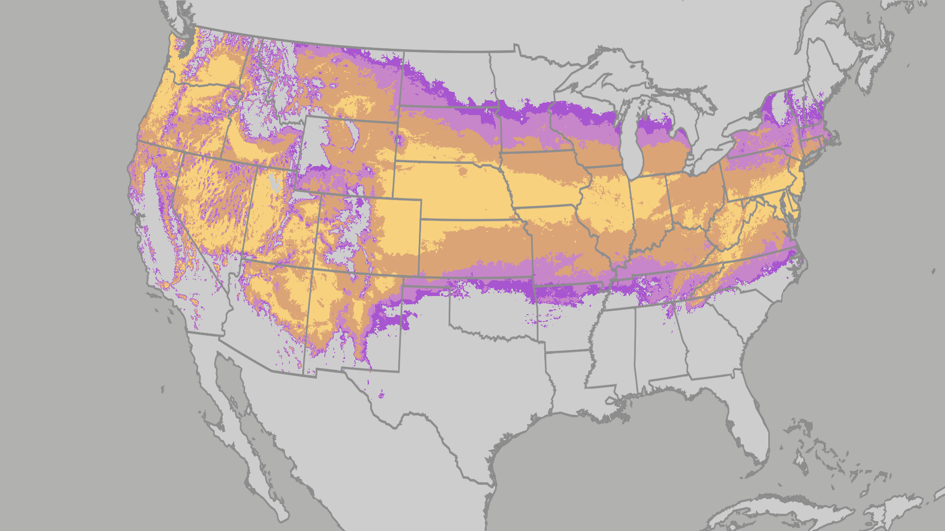 Tree, Grass Pollen Spreading North As May Begins