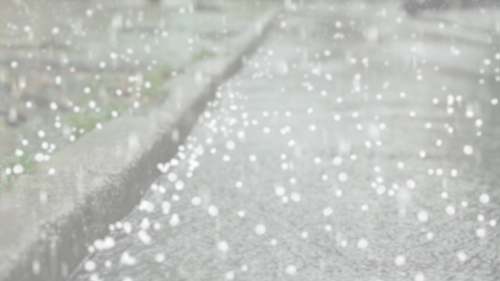 Which State's Record Hailstone Fell in 1991?