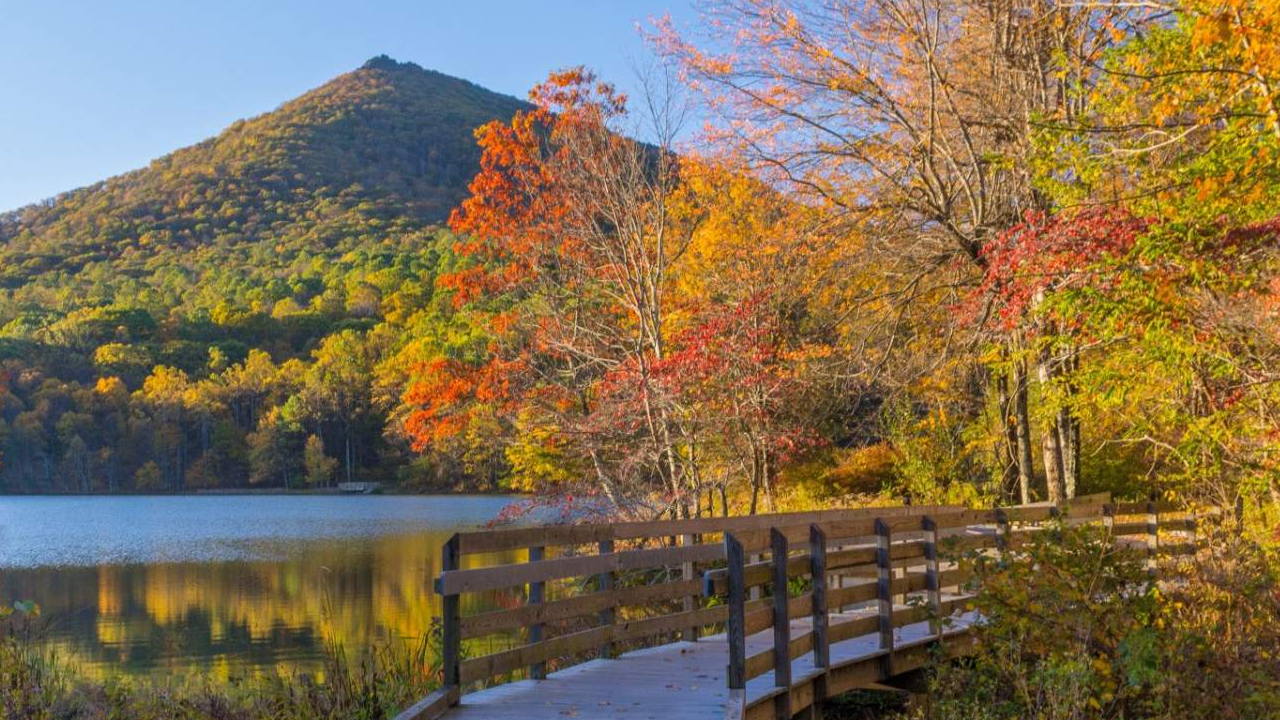 Virginia Leaves Changing