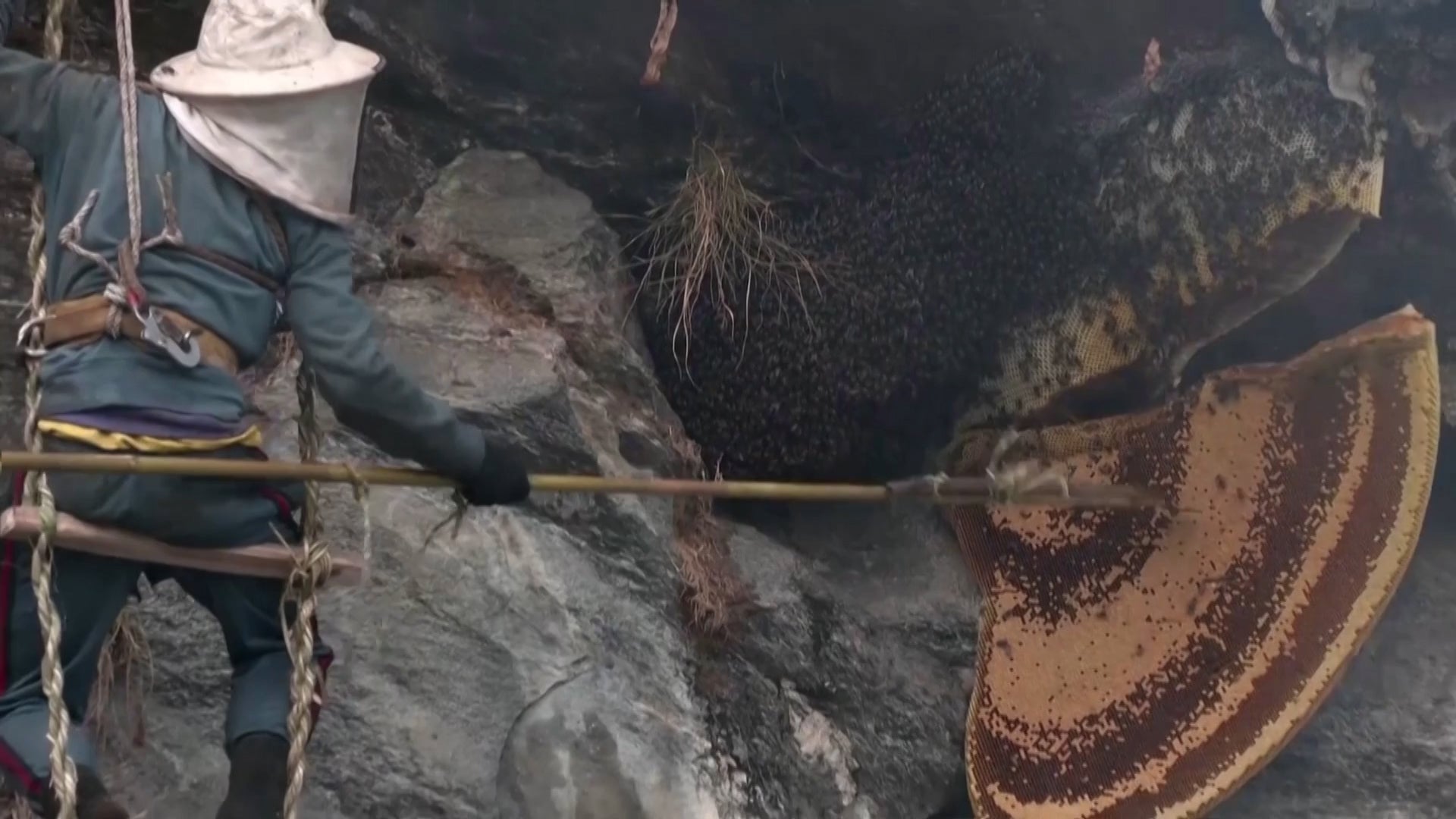 Nepal's Daring &lsquo;Honey Hunters&rsquo; Say There&rsquo;s A New Danger