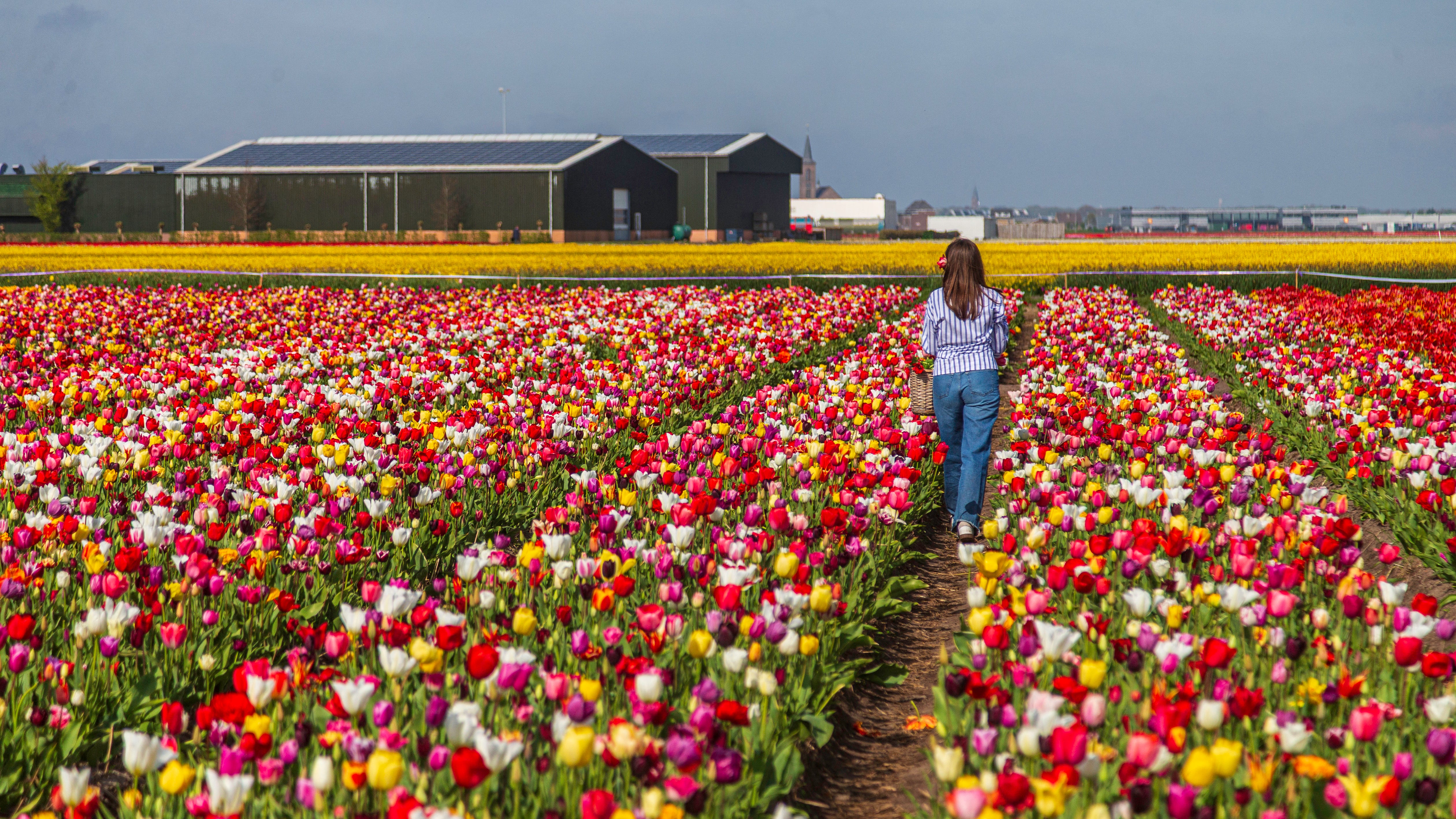 Top Spring Spot on Meteorologist's Travel List