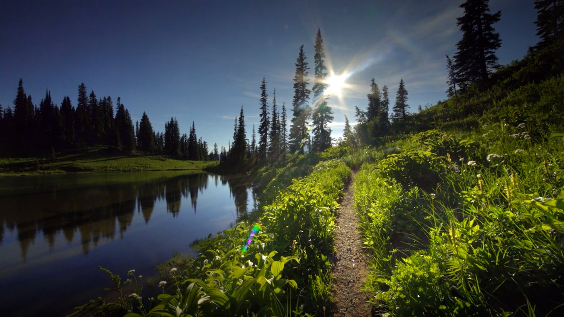 What To Know About Visiting National Parks This Summer