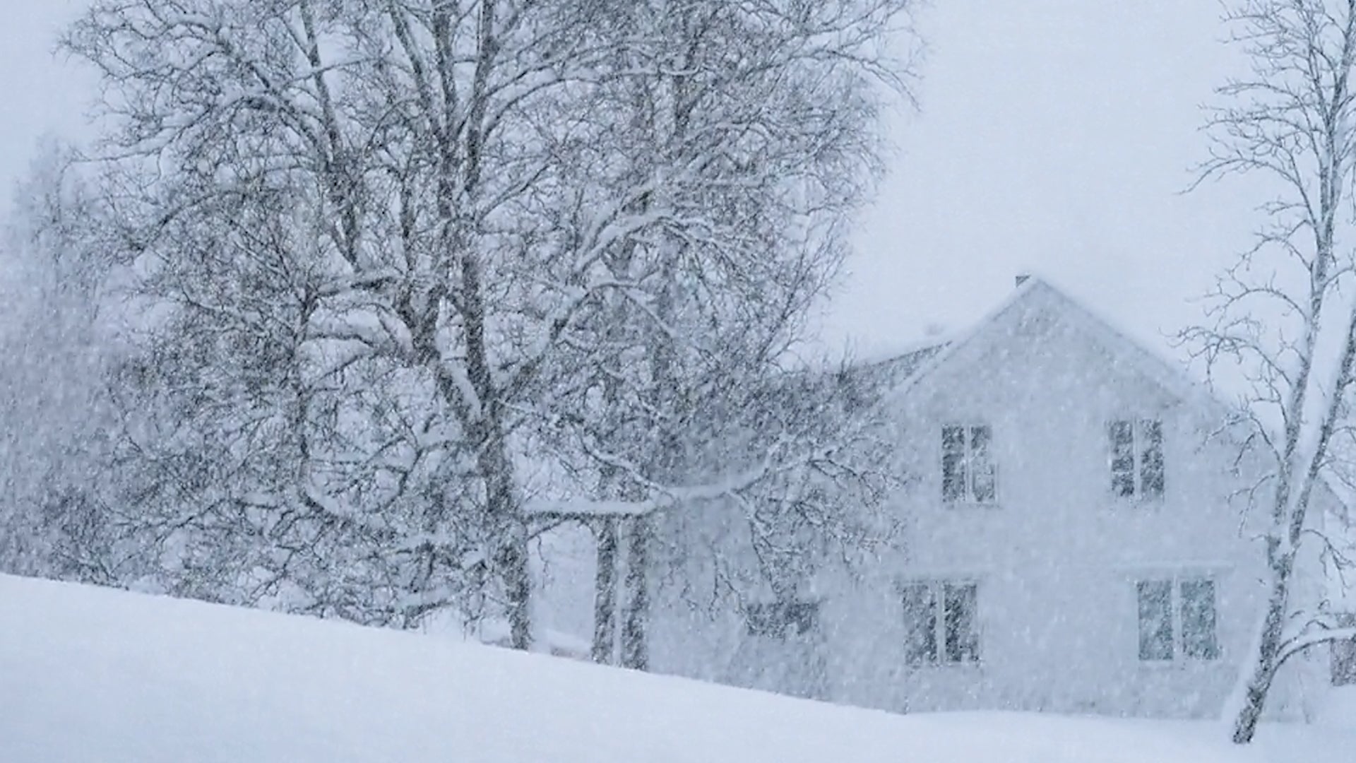 Why Is Snow White? It Is All About How Our Eyes See Light