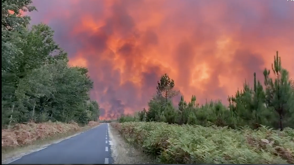 Wildfires Burning Twice As Many Trees As They Did 20 Years Ago