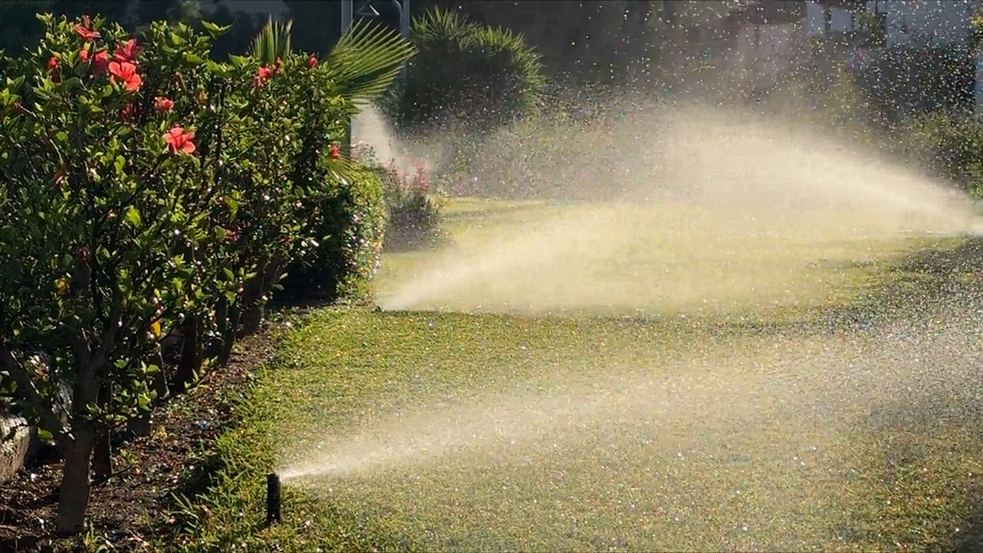 Your Sprinklers Are Probably Wasting Water And Costing You