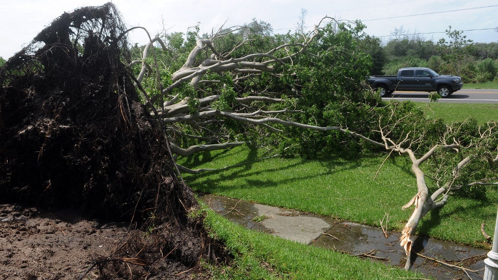 Debby Serves as Reminder for Tropical Storm Preparation
