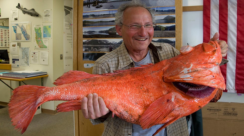 Record Rockfish Caught in Alaska