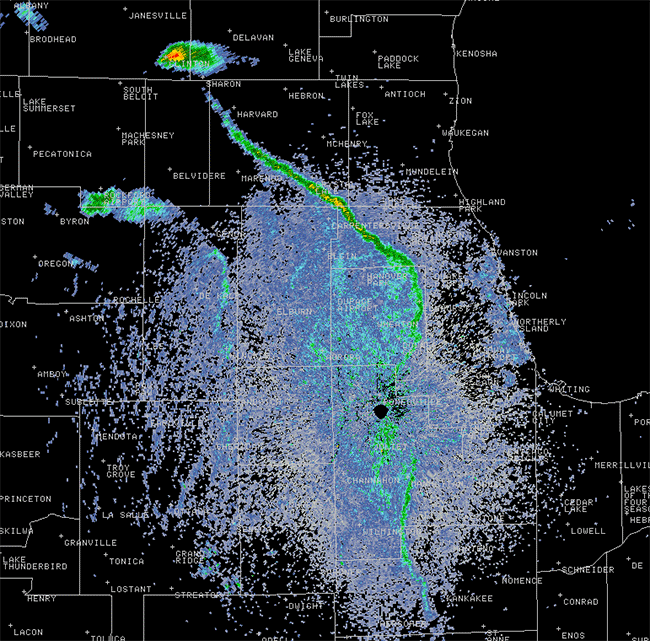 Mayflies Swarm Chicagoland, Show Up on Radar