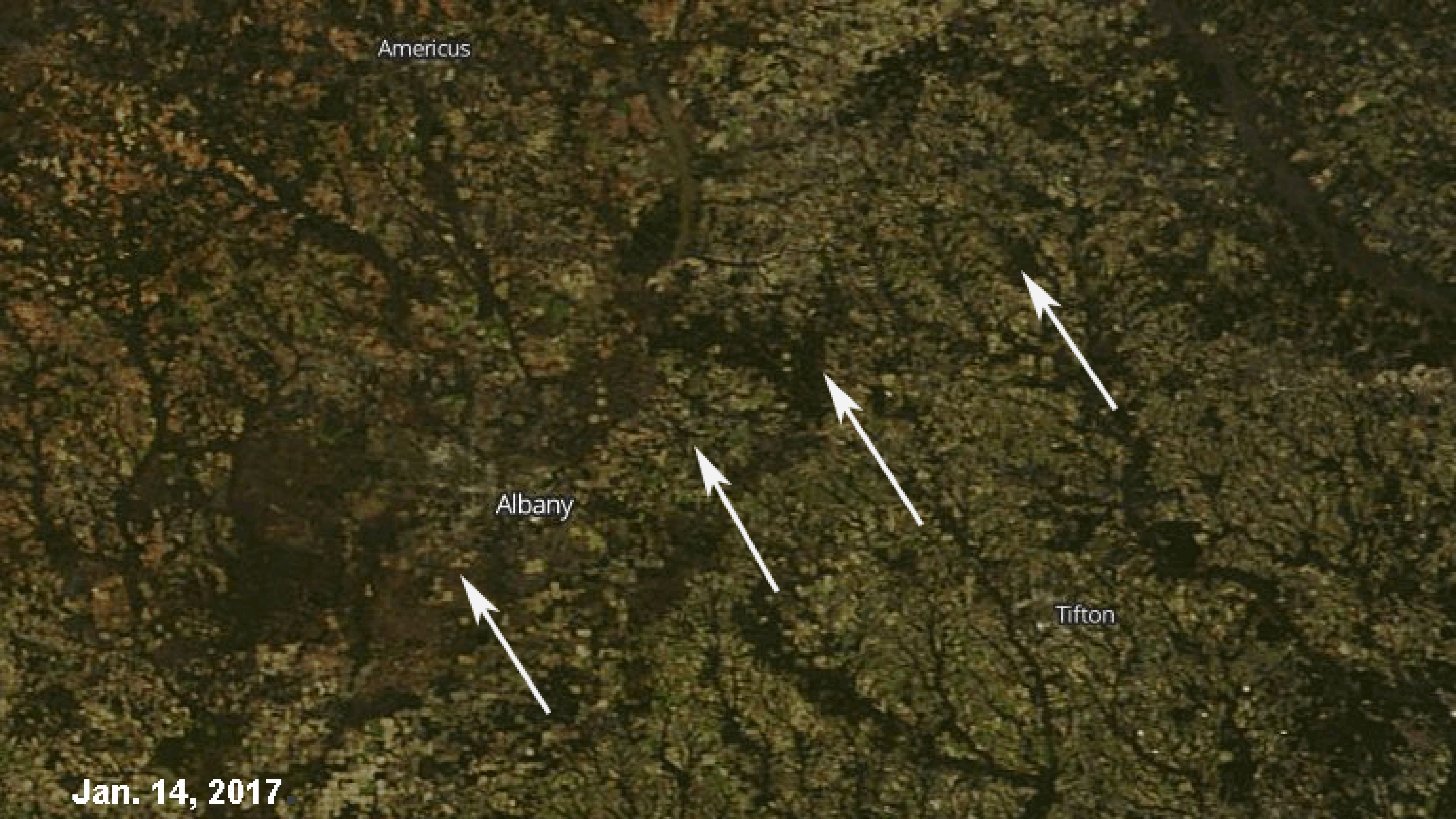 Look closely &ndash; the scar from the Jan. 22, 2017 tornado in Albany, Georgia, can be seen from space.