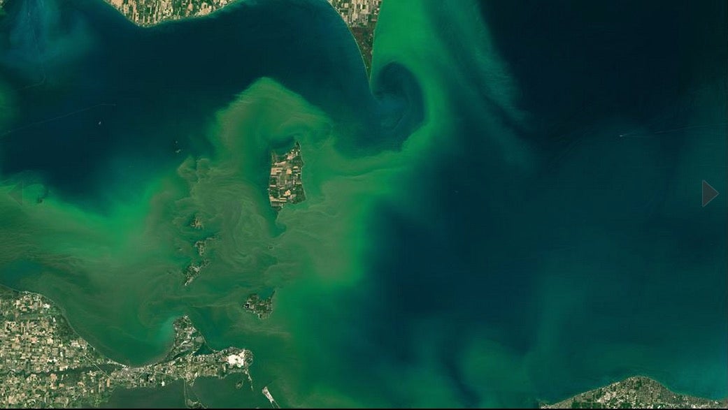 BlueGreen Algae Blooms Could Threaten Drinking Water The Weather Channel