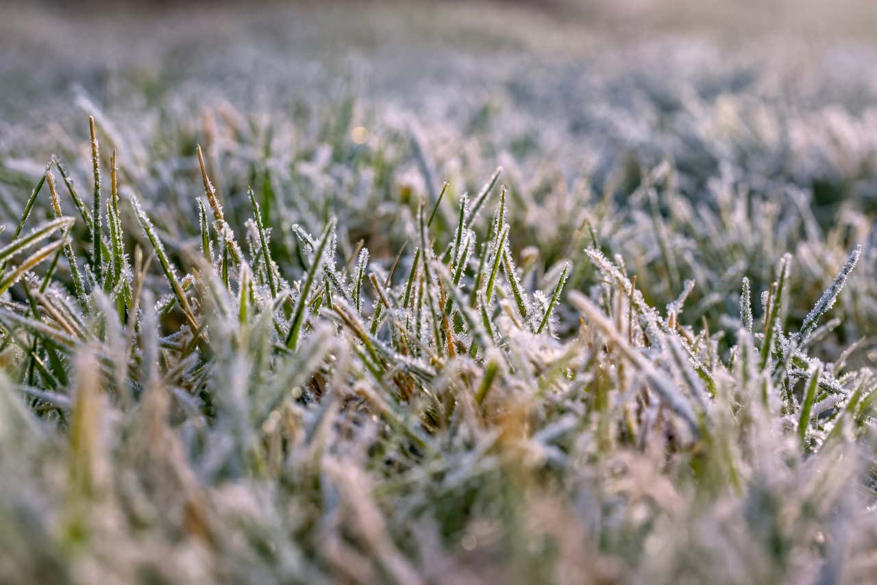 Weather Words: Frost Line | Weather.com