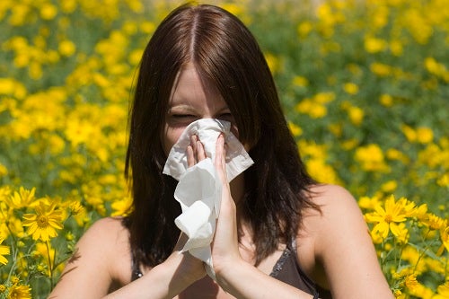 Worst Of Allergy Season May Be Yet To Come, Experts Say 