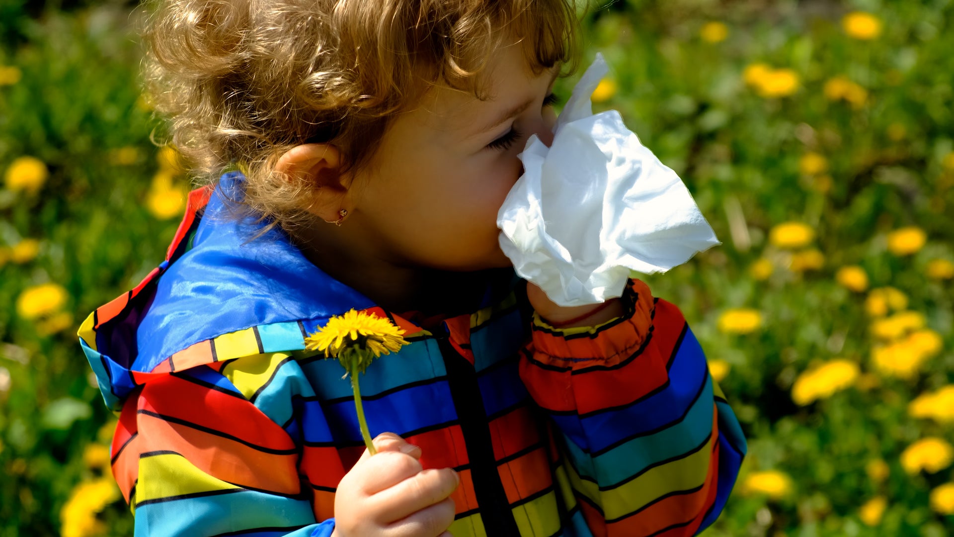 Monthly Weather Forecast for New - Allergies2 