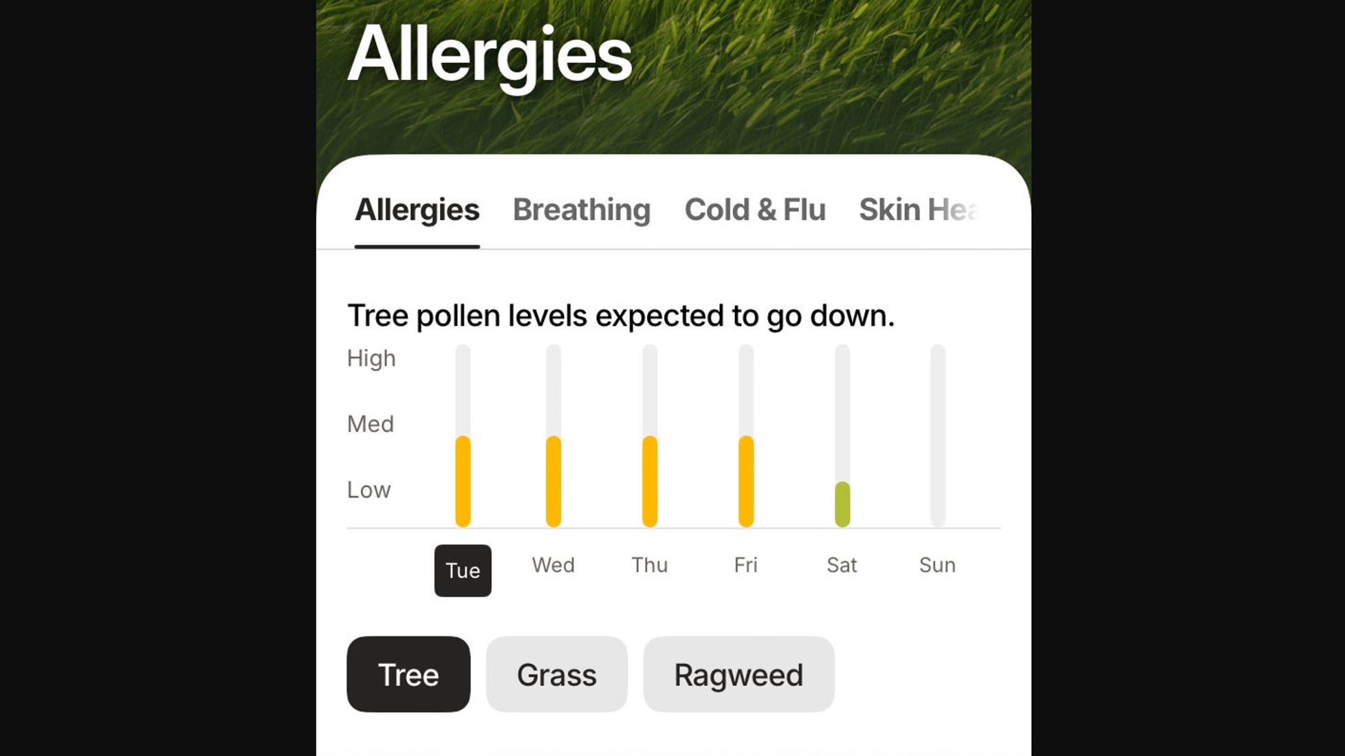 allergies