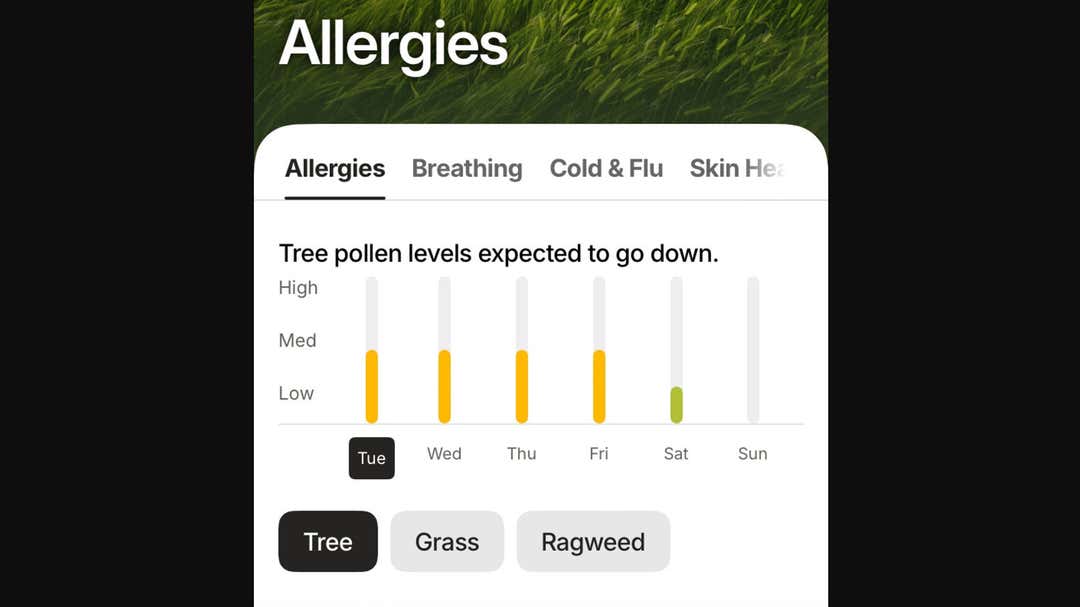 Pollen Time Pollen Season 2026: Complete Guide To Timing, Counts And Allergy Relief ...