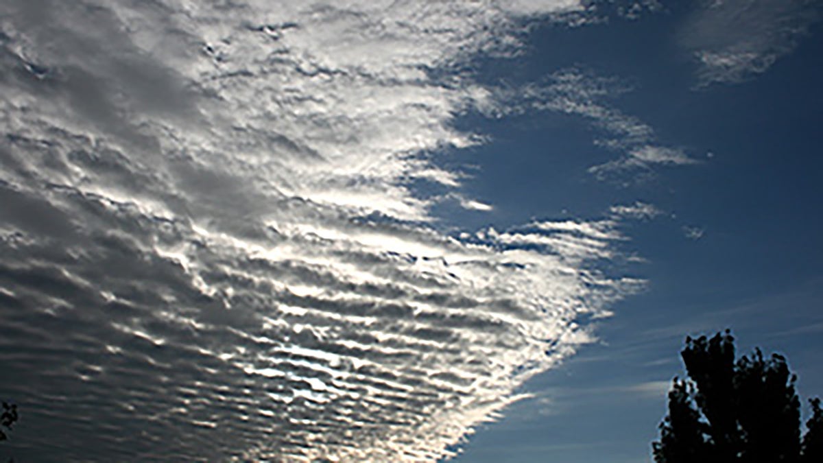 Clouds 101: How To Identify Different Types | Weather.com