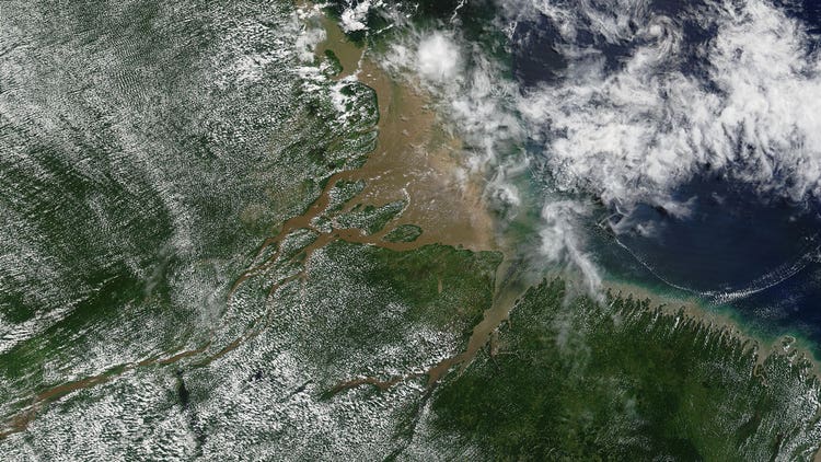 Scientists Discover 600-Mile Coral Reef in Depths of the Amazon River ...