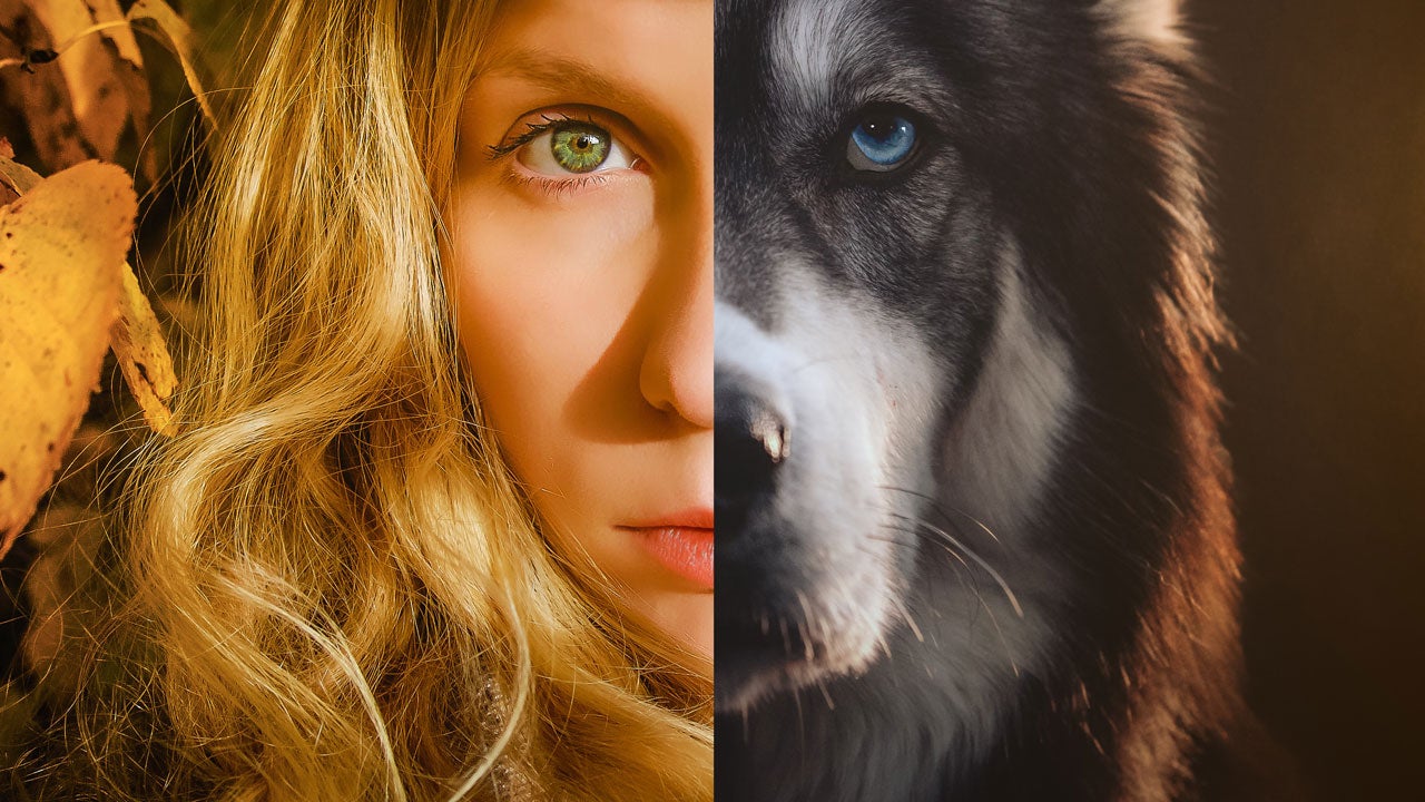 Goldilocks and the Wolf: An Inspiring Tale of Wanderlust and Healing 