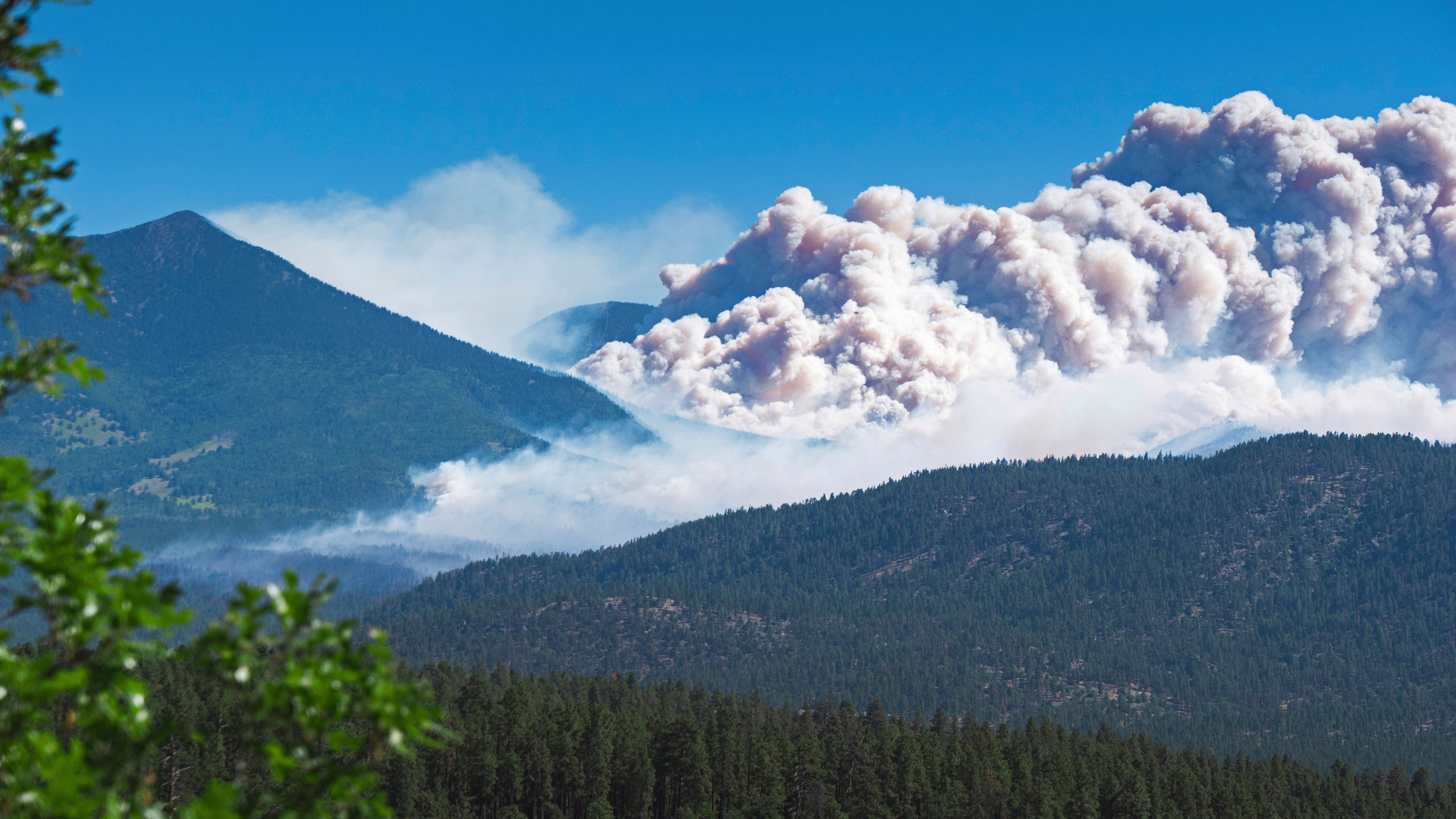Arizona's Pipeline Fire Has Burned More Than 31 Square Miles Near Flagstaff (PHOTOS)