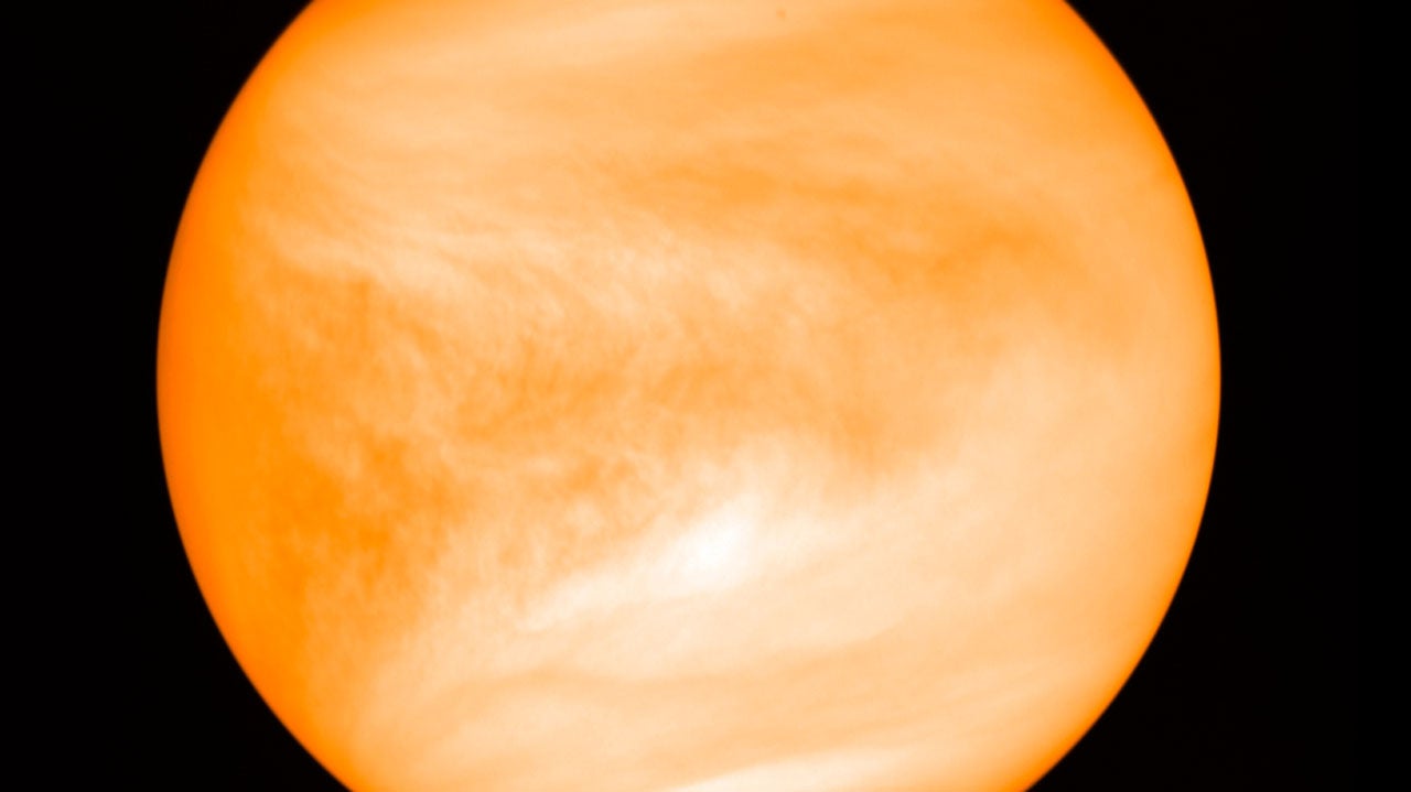 ap25120787655074.jpg