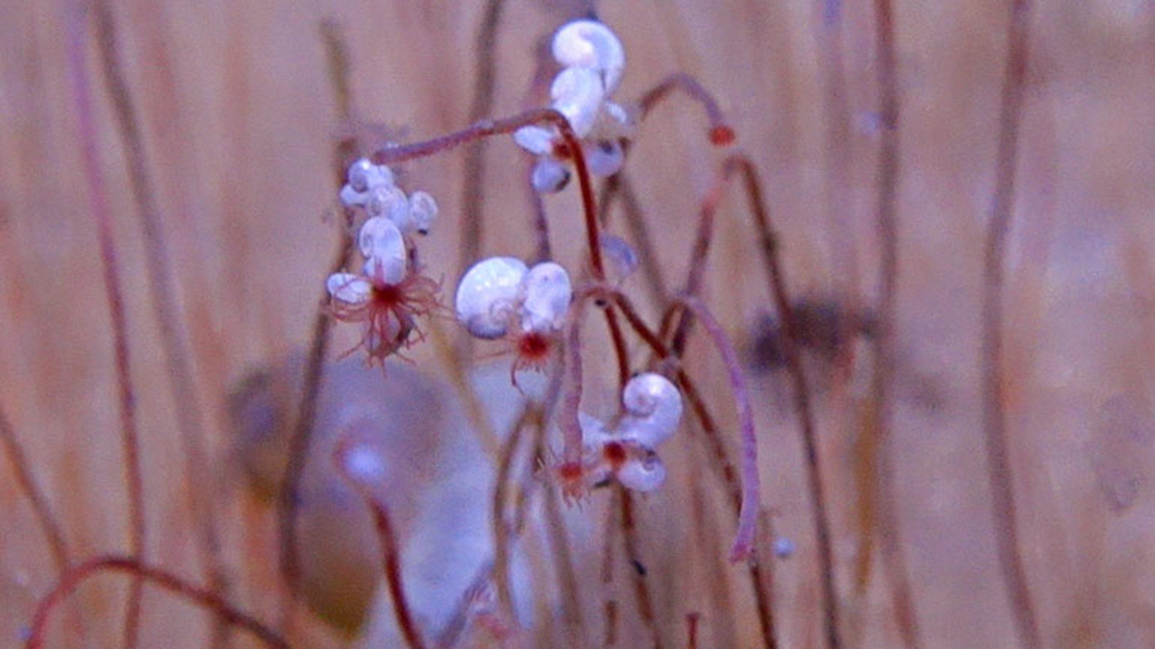 ap25210583632127.jpg