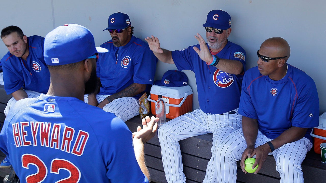 Chicago Cubs Outfielder Jason Heyward Stung By Swarm of Bees During Spring Training Game