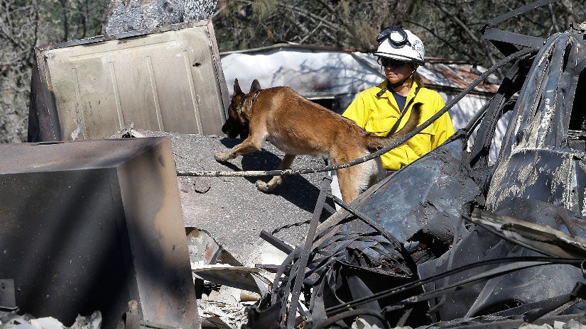 Two Bodies Found Near Southern California's Border Fire