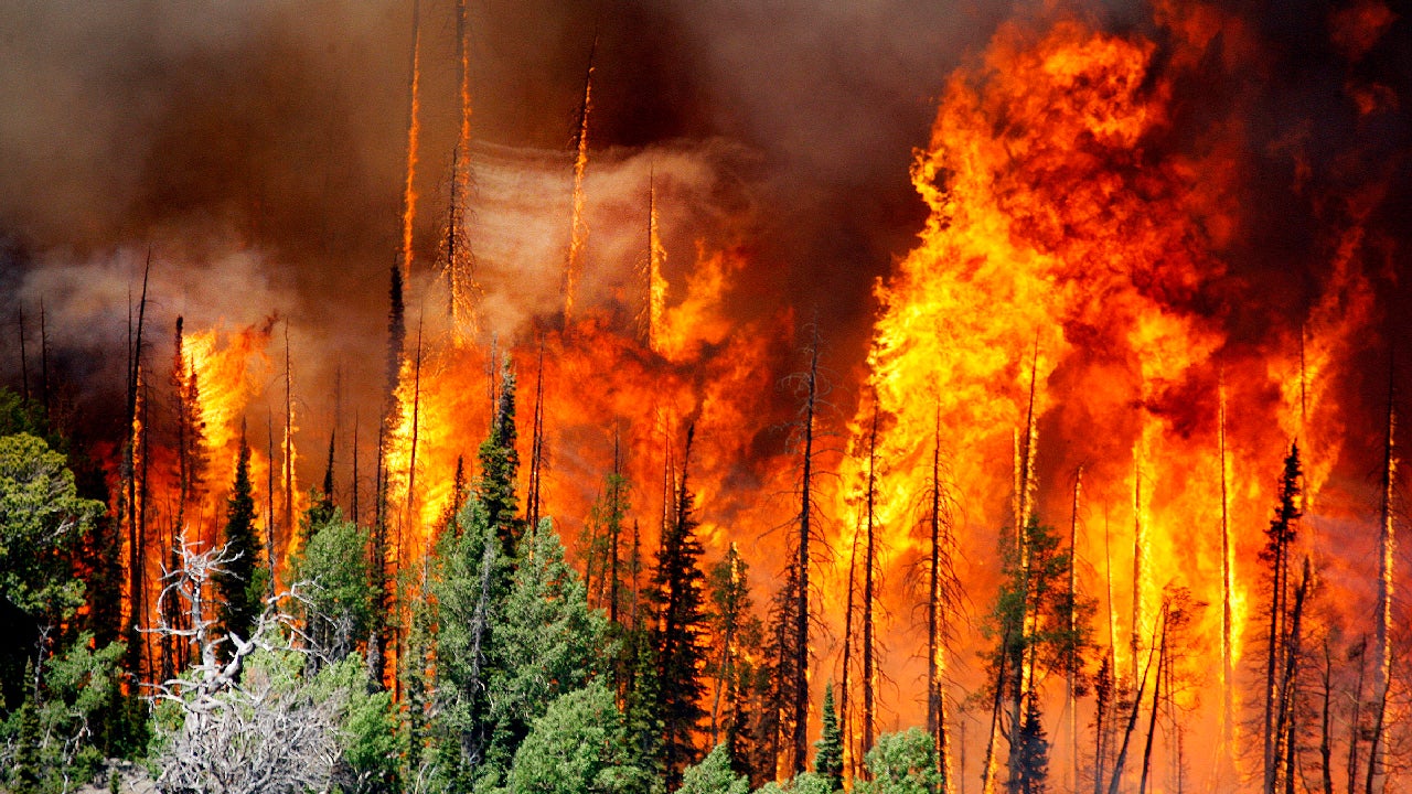 Utah's Brian Head Fire Caused by Lack of Logging, State Lawmaker Says ...