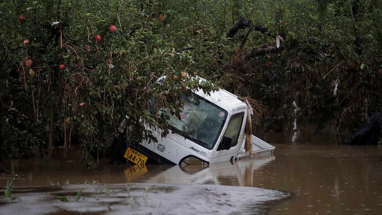 Typhoon Hagibis Brings Major Flooding to Japan (PHOTOS)