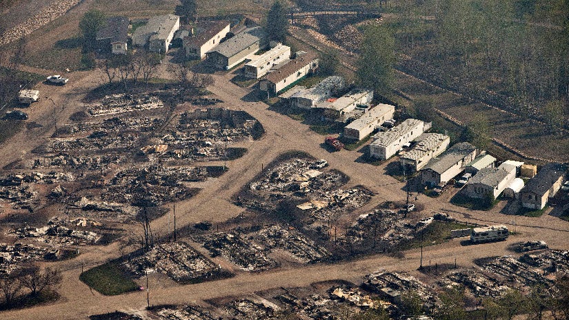 Fort McMurray Wildfire May Have Had a Devastating Impact on Animal Life, Experts Say