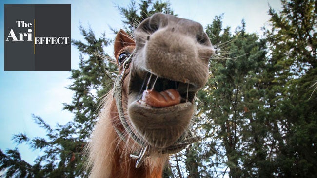The Best Mugshots You'll Ever See