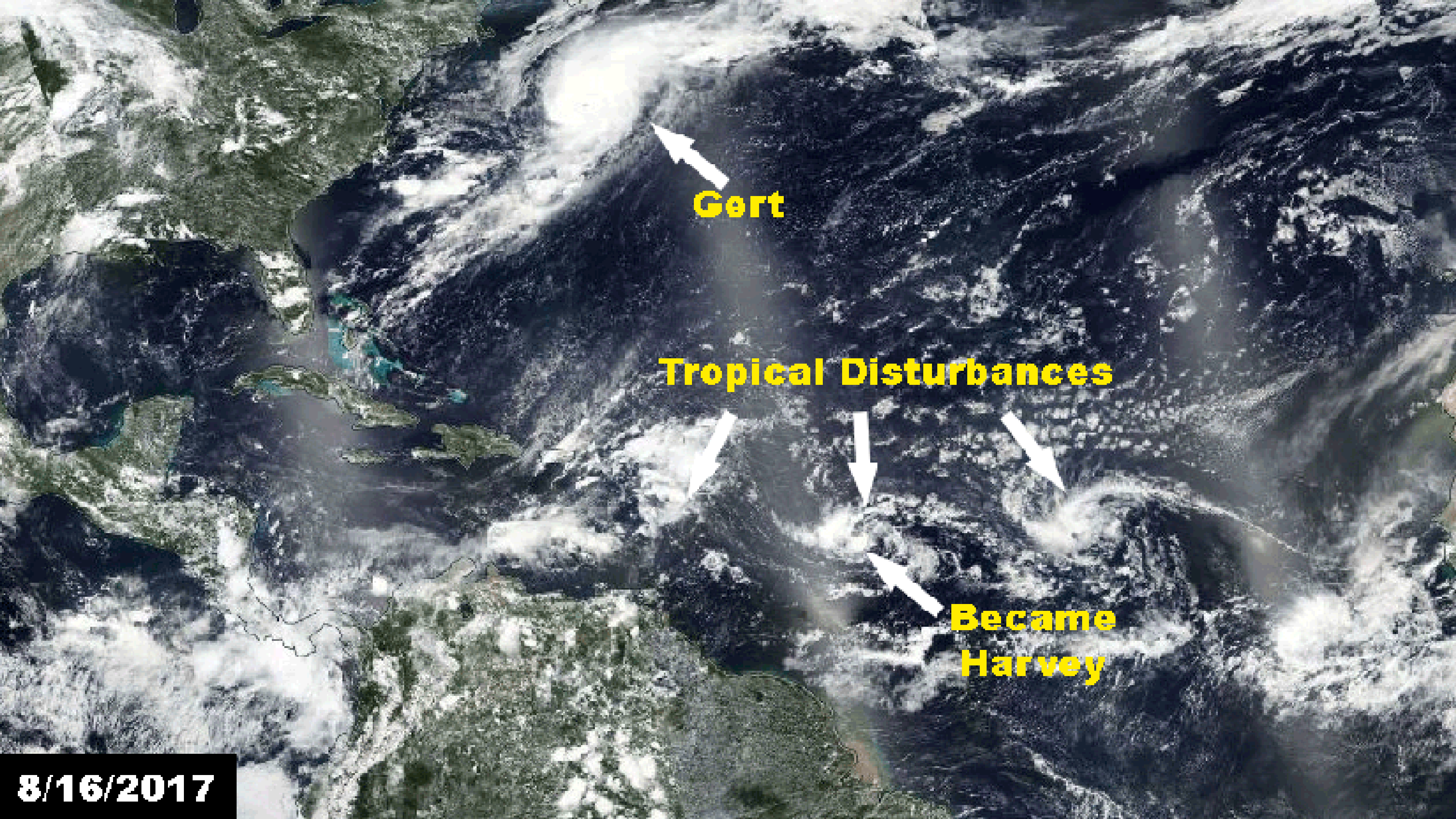 Satellite image comparison of the Atlantic basin Aug. 12, 2018 versus Aug. 16, 2017. The image from this year shows the Atlantic is mostly quiet. A year ago this Thursday there was a hurricane and several other tropical disturbances to track.