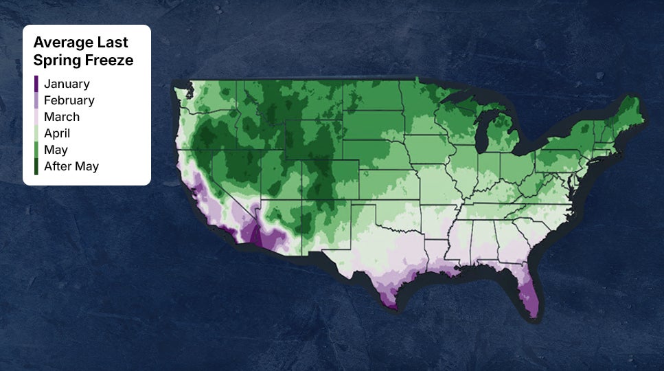 average last spring freeze