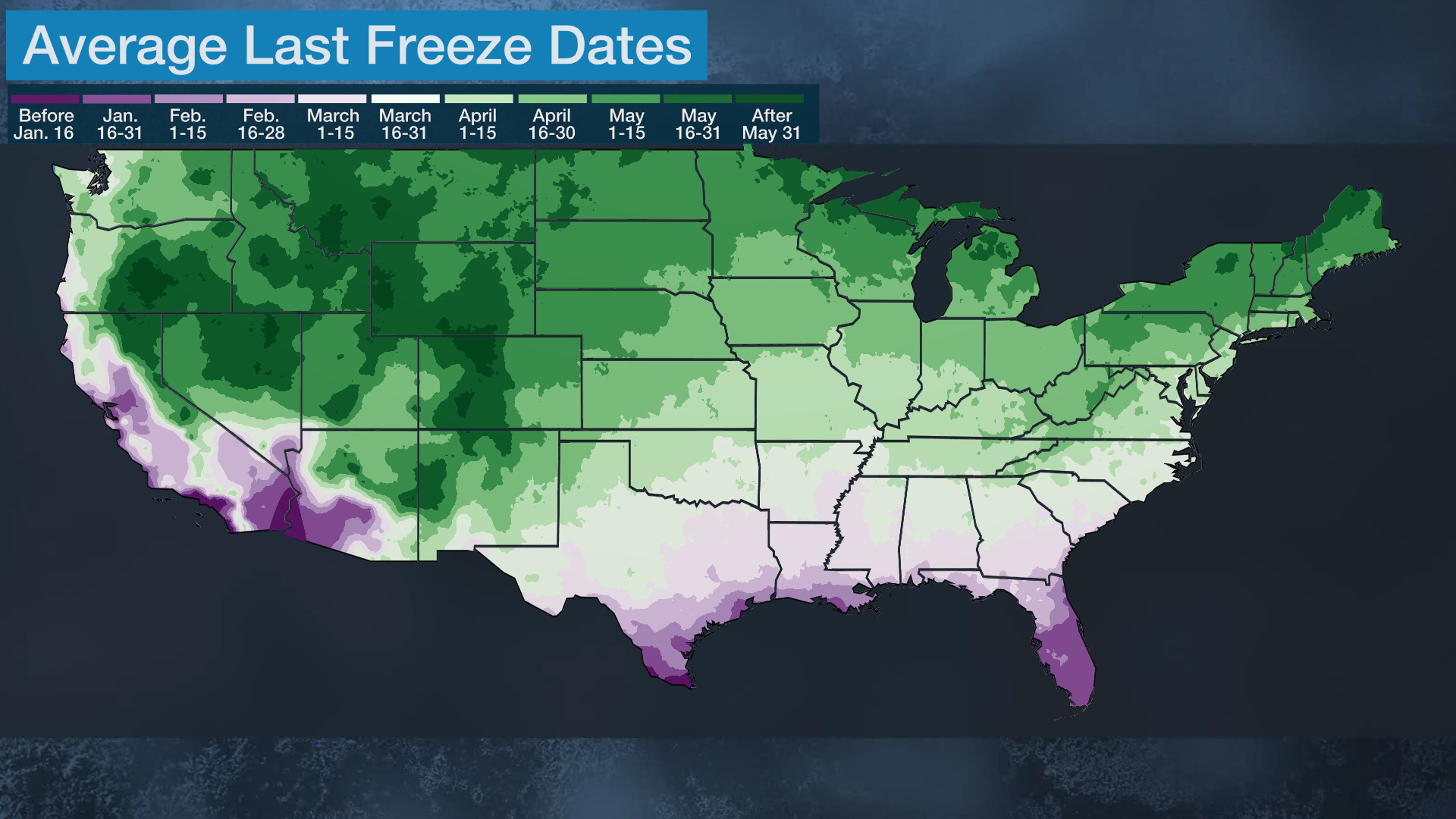 avg_last_freeze.jpg