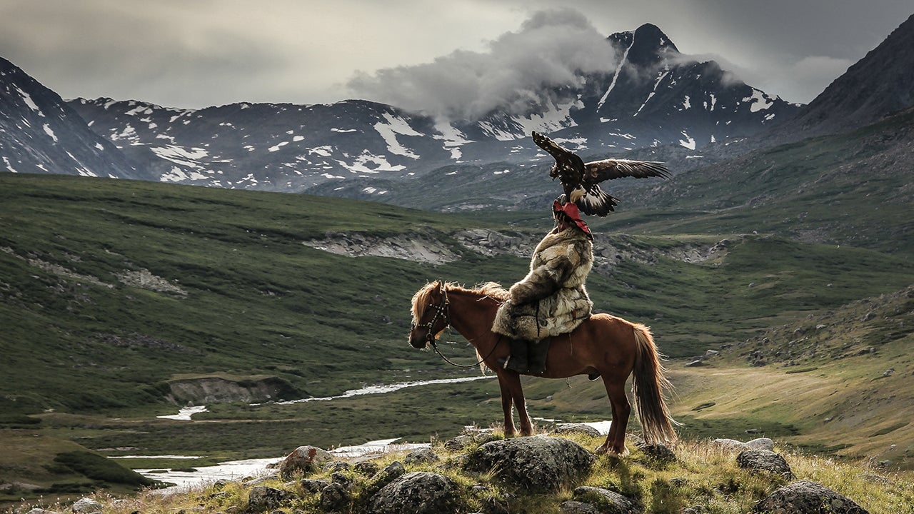 Stunning Submissions from the 2015 Sony World Photography Awards