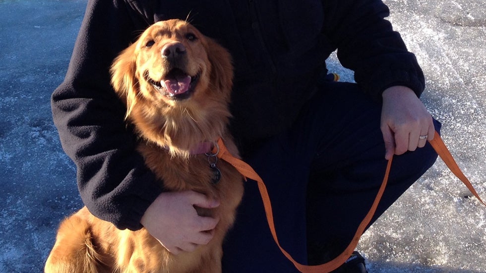 Heroic Dogs and the Lives They Save 