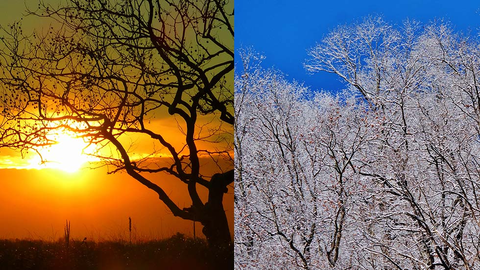 Five Biggest Weather Changes Since Thanksgiving