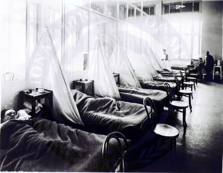 Spanish Flu Pandemic Originated in China