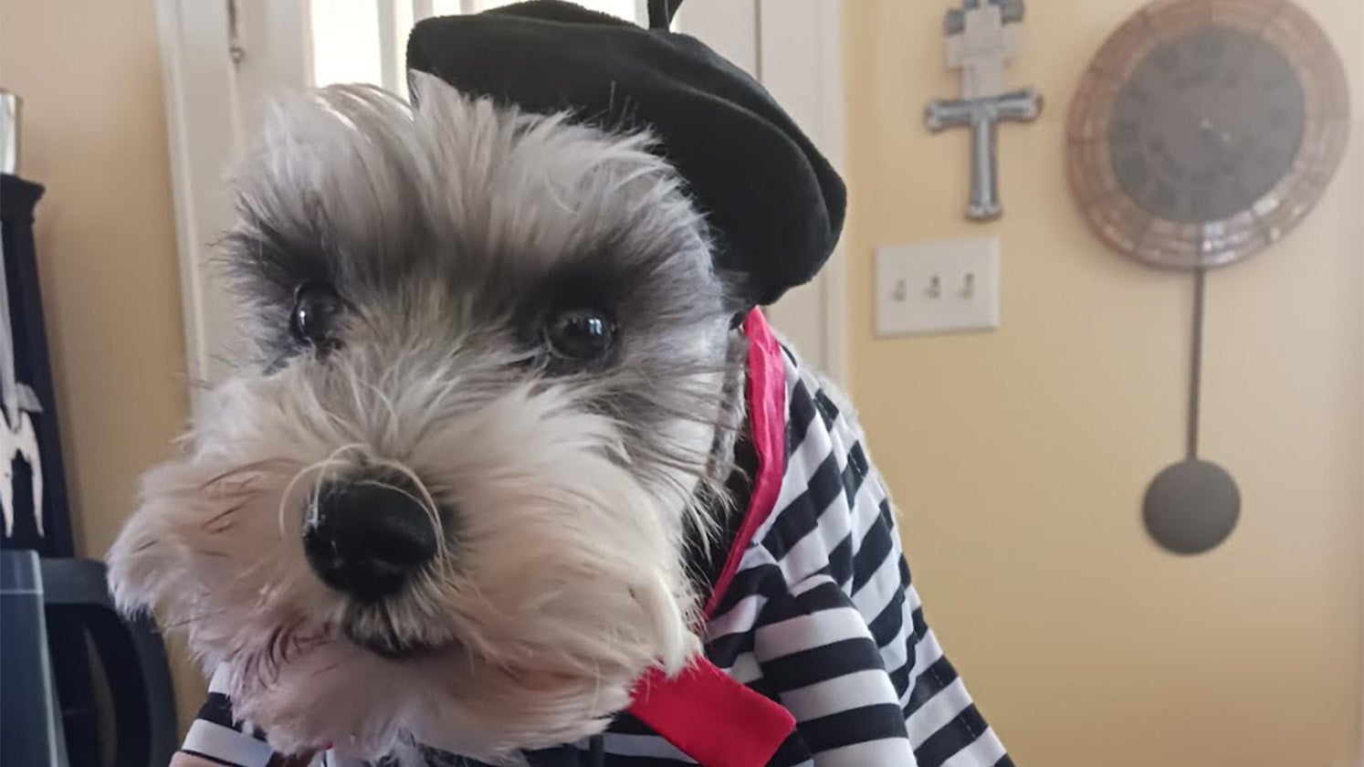 Weather Buddies: 'Babe B Bear'