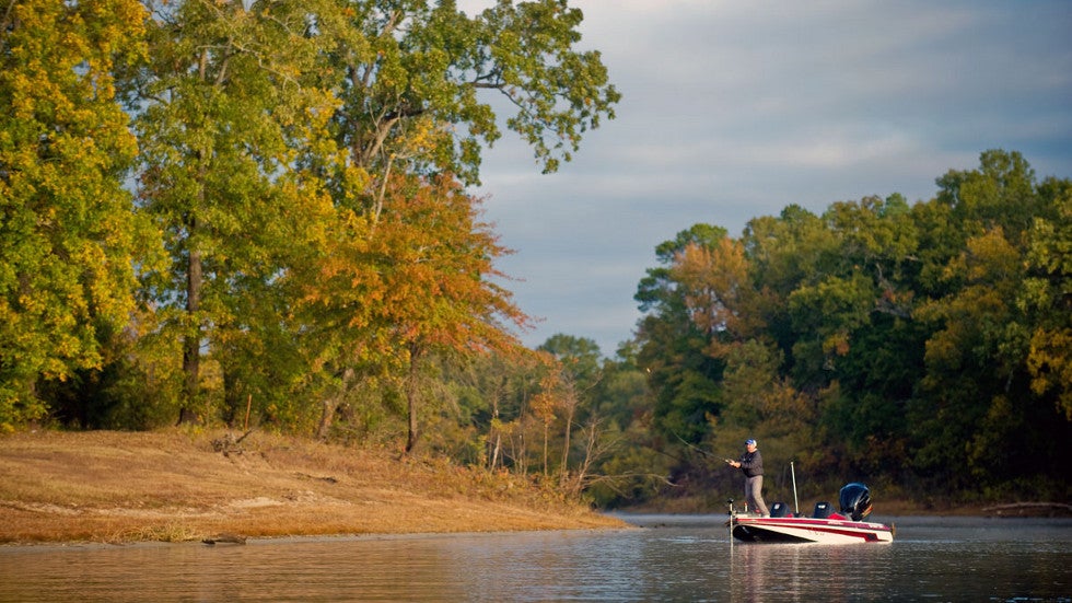 The Key To Catching More Bass In Fall