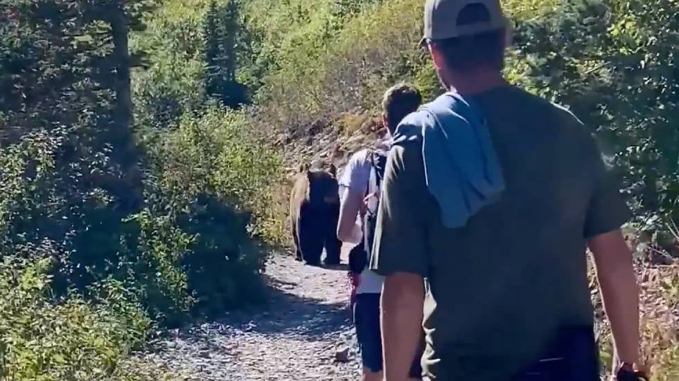 Family's Frightening Bear Encounter Videos from The Weather Channel