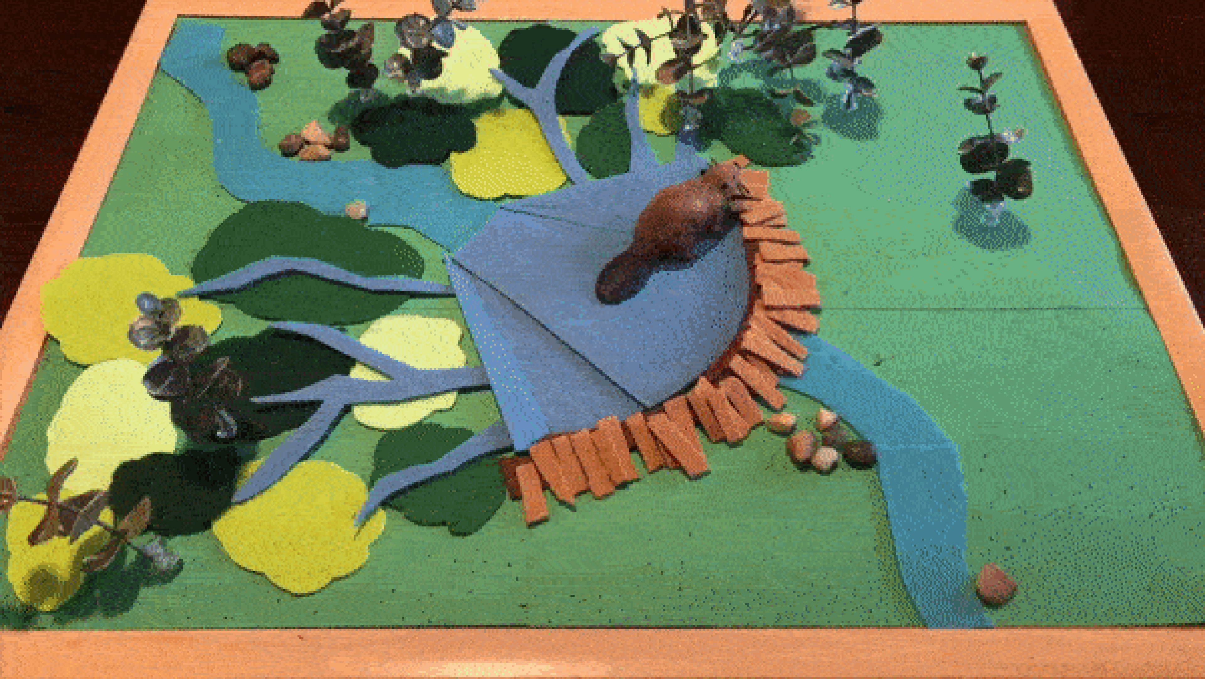 beavers.gif