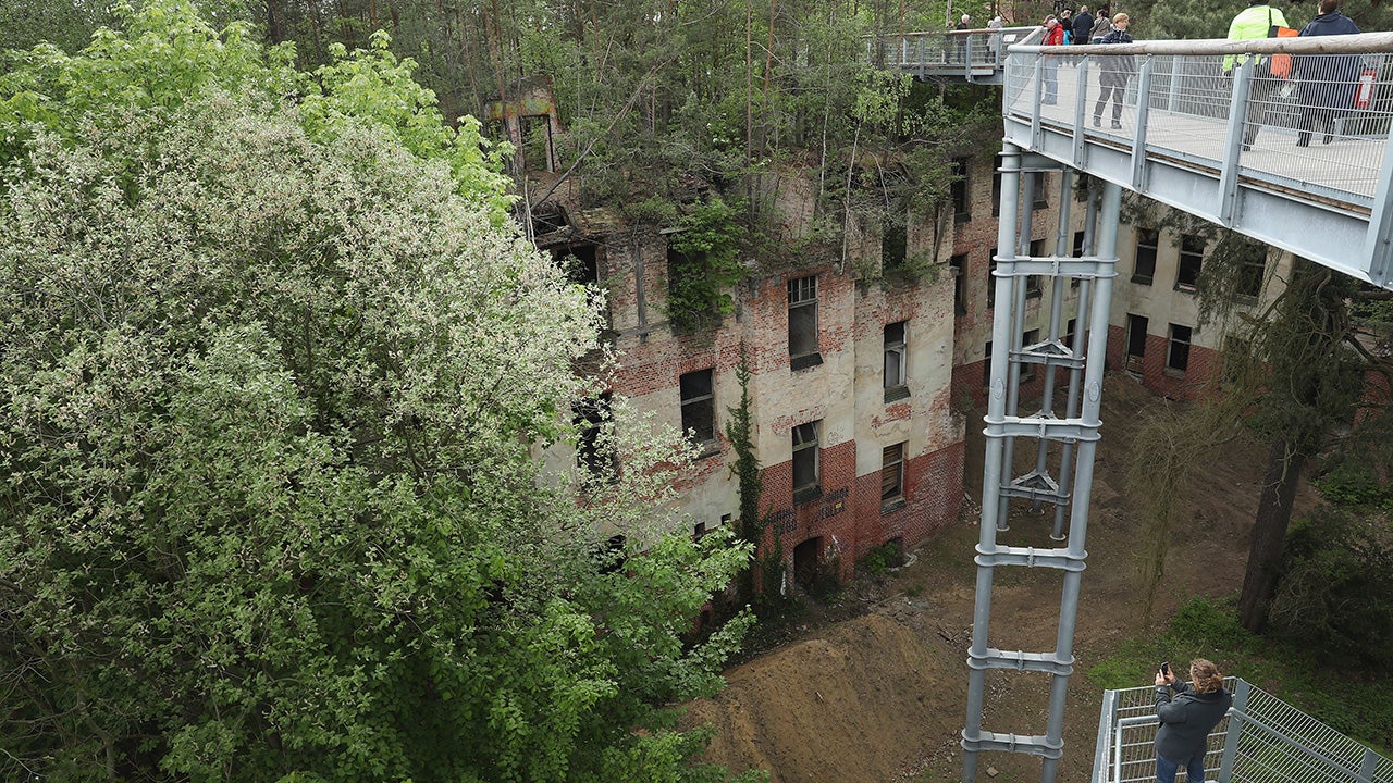 Treetop Path Takes Visitors Over Eerie, Abandoned Sanatorium in Germany  (PHOTOS) | The Weather Channel, image size:1280x720