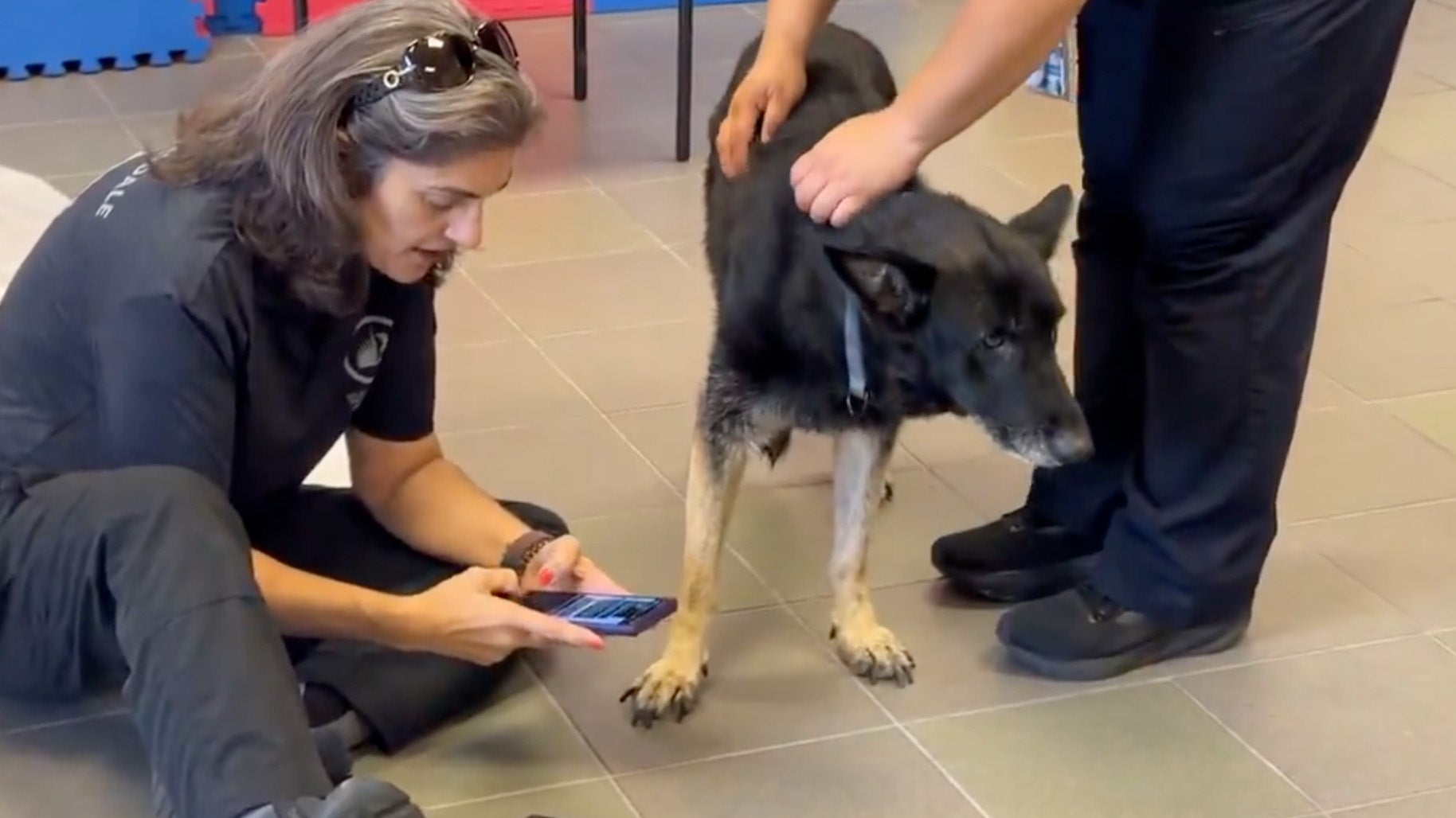 Dog Rescued By Fire Department Reunited With Family Following 6-Year Absence